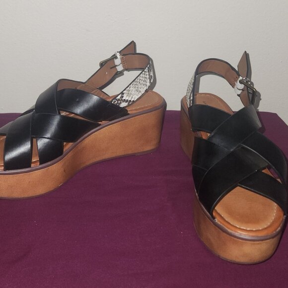 American Eagle - Picture 4 of 8